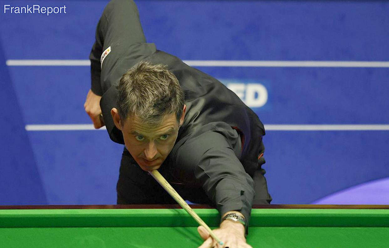 真诚伴侣关 真诚伴侣关