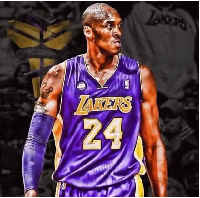 辛吉斯习惯 辛吉斯习惯